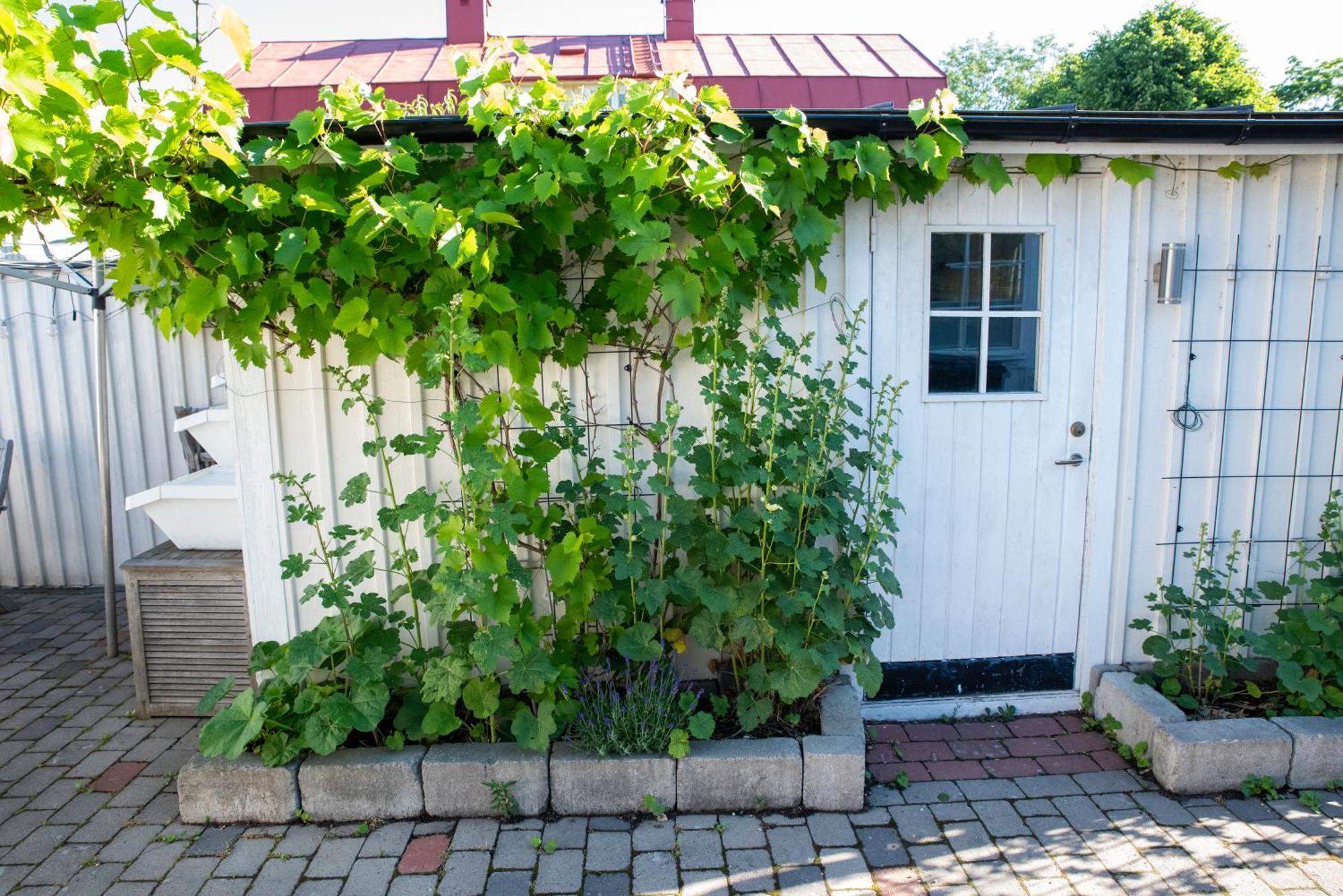 Guest House Tullgatan 24 보리홀름 외부 사진